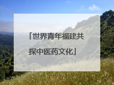 世界青年福建共探中医药文化